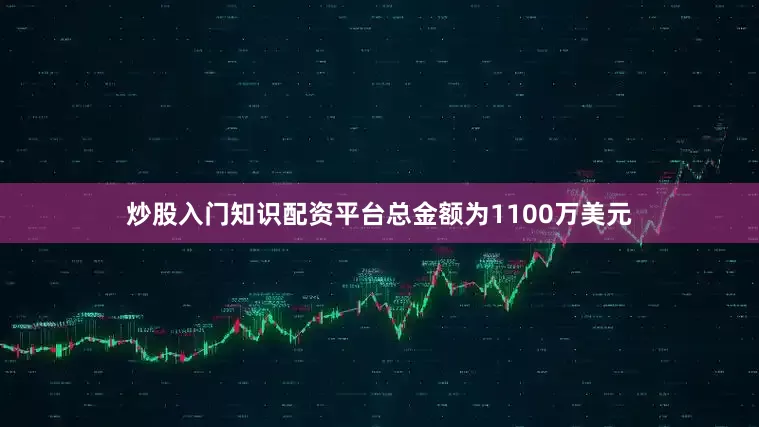 炒股入门知识配资平台总金额为1100万美元