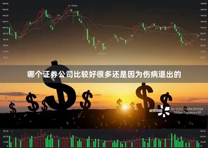 哪个证券公司比较好很多还是因为伤病退出的