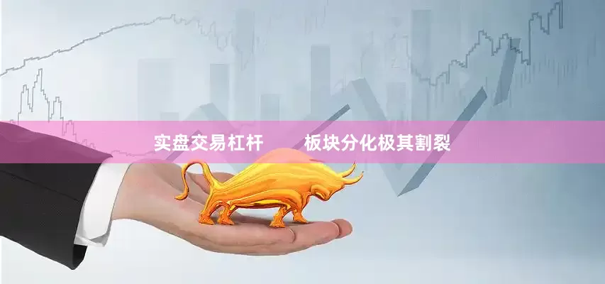 实盘交易杠杆        板块分化极其割裂