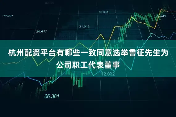 杭州配资平台有哪些一致同意选举鲁征先生为公司职工代表董事